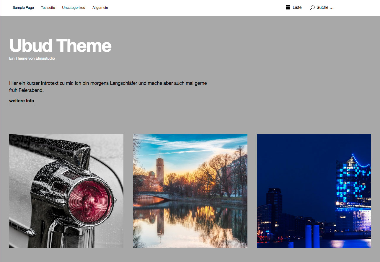 WordPress Theme Ubud Screenshot Elmastudio