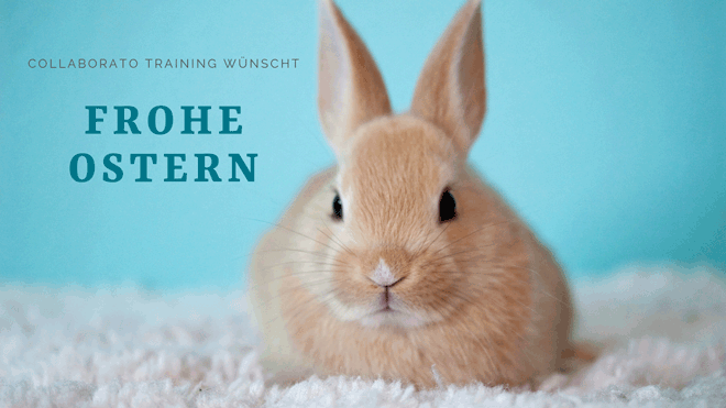 Ostern-Newsletterheader